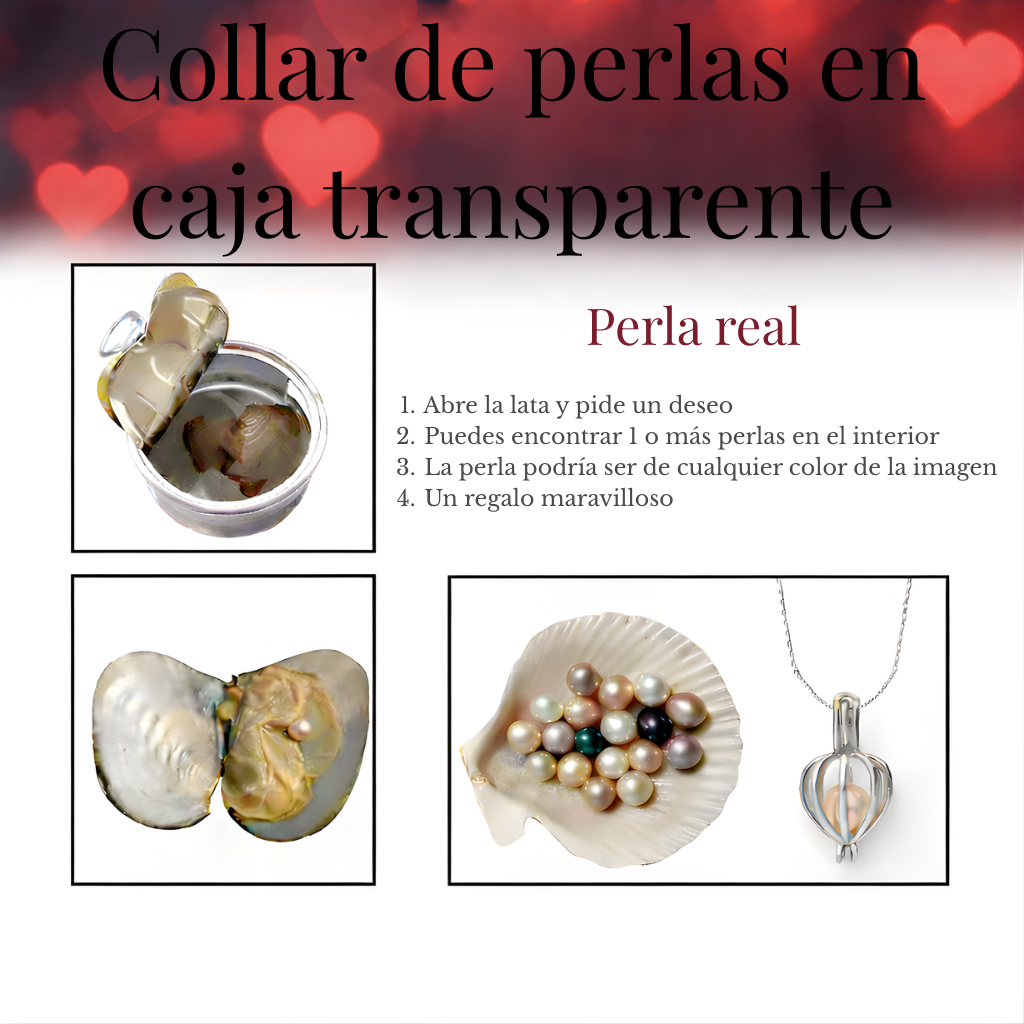 Oso de Rosas con Collar de Perla Sorpresa – Regalo Romántico